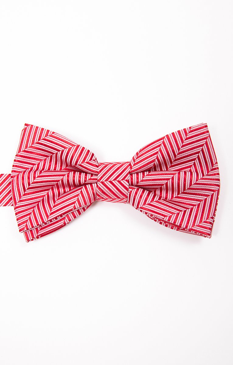  NOEUD PAPILLON CANDY