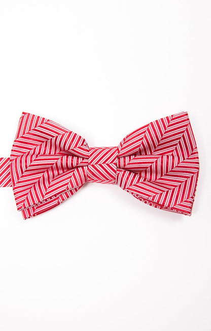  NOEUD PAPILLON CANDY