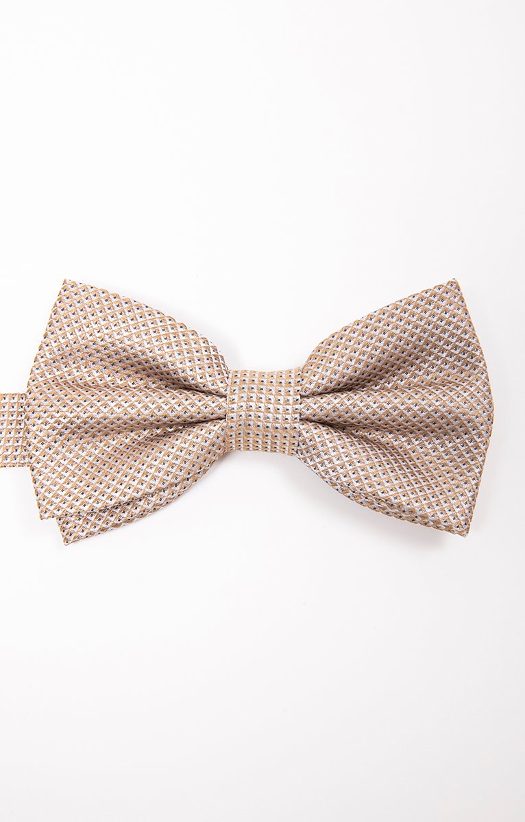  NOEUD PAPILLON CHAMPAGNE