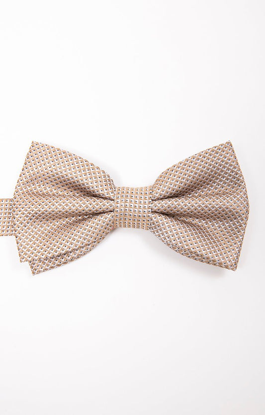 NOEUD PAPILLON CHAMPAGNE