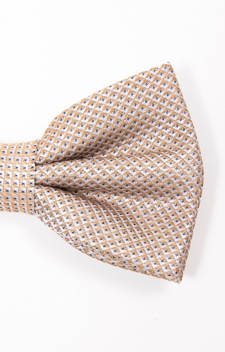  NOEUD PAPILLON CHAMPAGNE