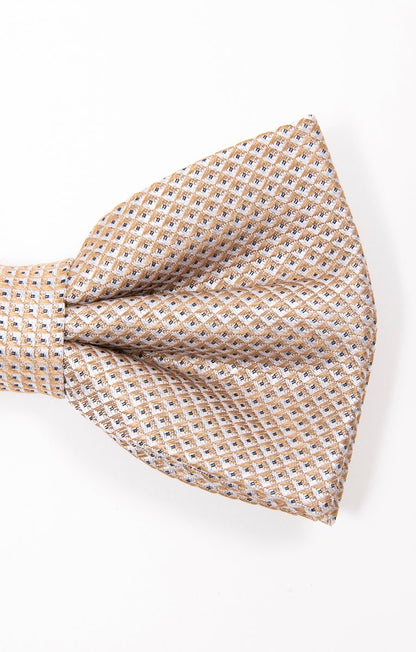  NOEUD PAPILLON CHAMPAGNE